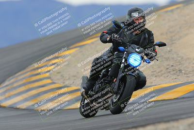 media/Jan-14-2023-SoCal Trackdays (Sat) [[497694156f]]/Turn 12 (120pm)/